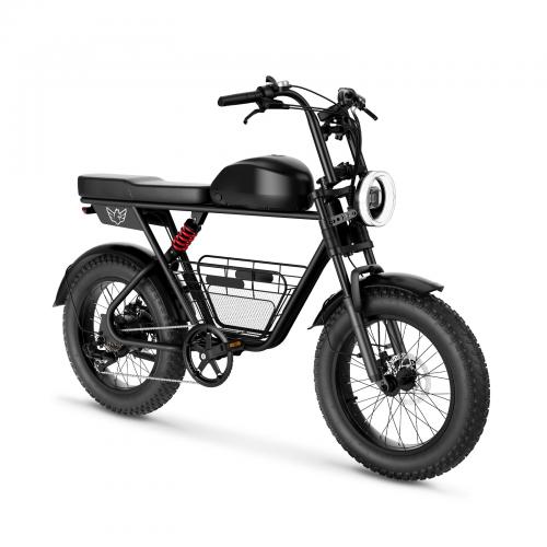 BICICLETA ELECTRICA D5