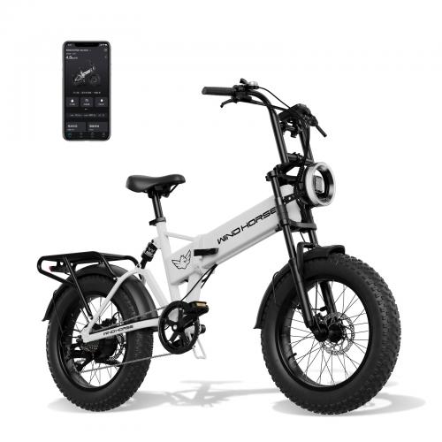 BICICLETA ELECTRICA W0 Pro