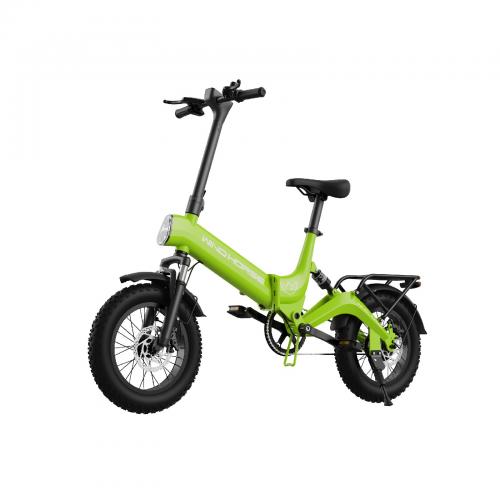 BICICLETA ELECTRICA W1